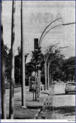 1970 - Bernadottestraße mit Mastenwald (Hamburger Abendblatt 12-08-1970)